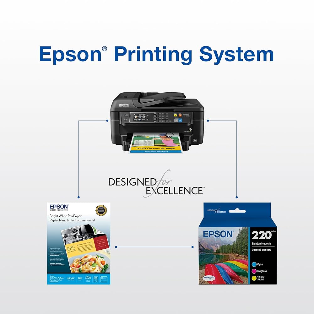 Amazon.com: EPSON 220 DURABrite Ultra Ink Standard Capacity